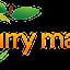 Curry Mango
